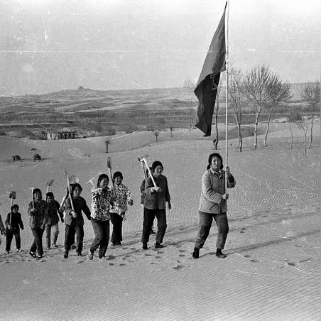 《使命召唤》年龄验证升级！童军玩家怒了，揭秘新规影响