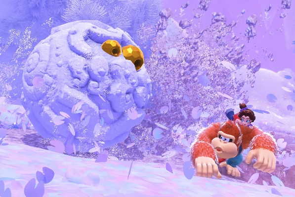 《咚奇刚：蕉力全开》帧率稳定60FPS，掉帧问题解析攻略