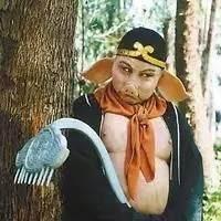 魔兽世界20周年庆典：11大珍稀坐骑兑换攻略，天神宝库全坐骑一览