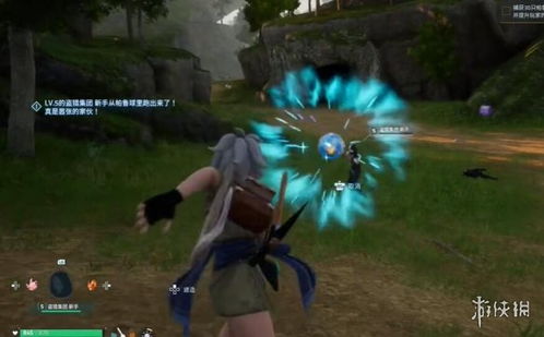 幻兽帕鲁妮瞅莎捕捉攻略：揭秘隐藏捕捉点