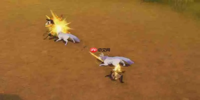 星痕神射手驯鹰流攻略：高效打法揭秘