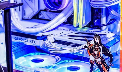 巅峰再临！掠夺者存储Bilibili World 2025精彩瞬间揭秘