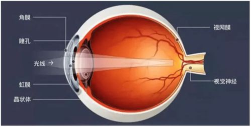 京东方万元护眼屏疑伤眼：眼轴猛增、眼痛流泪，玩家慎选！