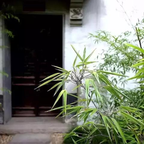 《晴空之下公测兑换码大揭秘！最新开服码免费领》