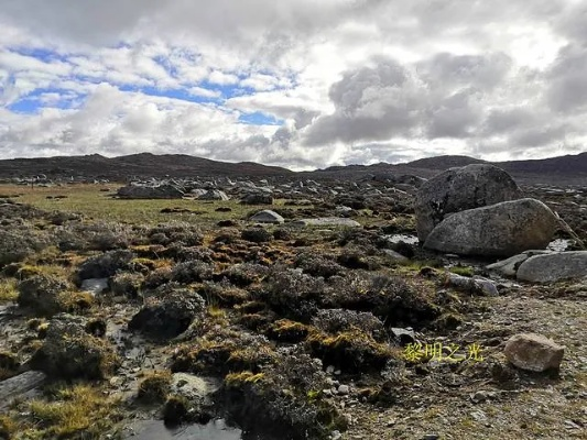 《揭秘帕鲁花兔山：山顶资源大揭秘！》