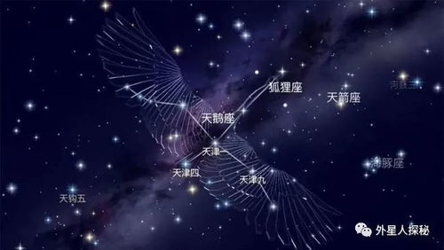 极星形态揭秘：晴空之下隐藏的神秘力量