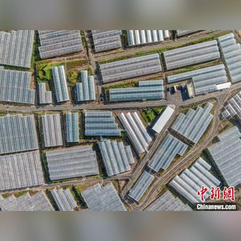 晴空之下离技能揭秘：解锁全新战斗技巧