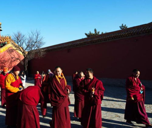 陈奕迅故宫偶遇漫步，神秘背影引热议