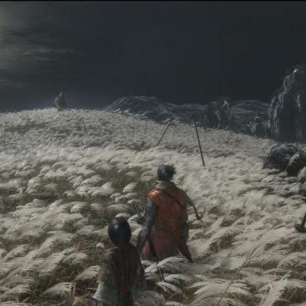 《FromSoftware神秘新作曝光！明年即可体验》