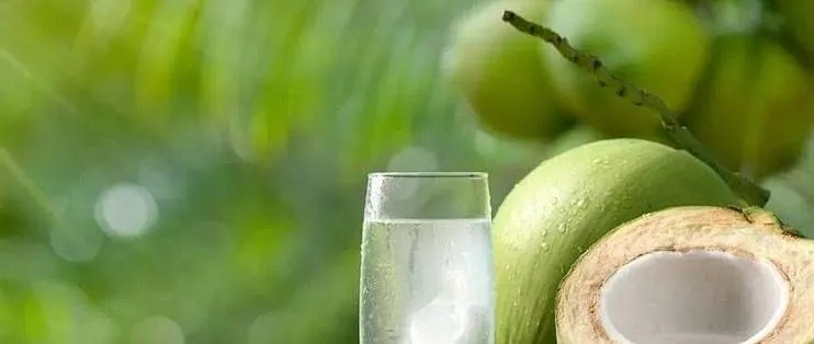 椰子水骗局大揭秘：竟然是玉米水冒充！