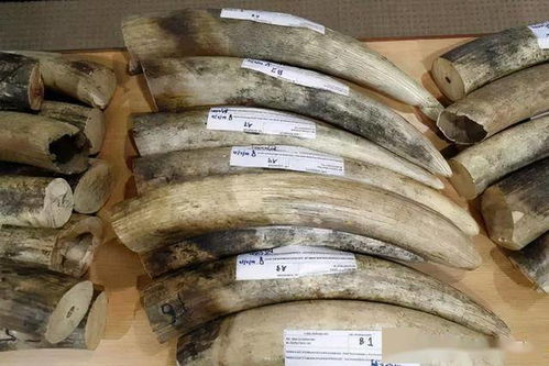 徐志胜一家共用同款脸谱，爹出门成网红！