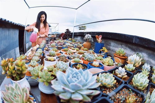 徐志胜一家共用同款脸谱，爹出门成网红！