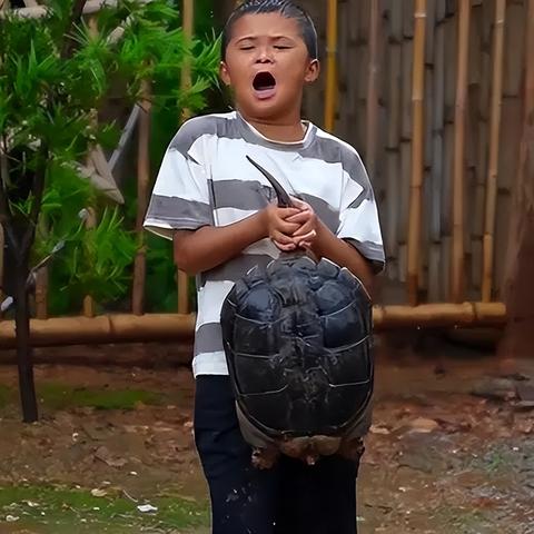 小马云表哥正面回应：被消费成好事，网友热议不断