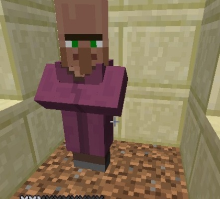 《Minecraft召唤奴仆攻略：高效玩法揭秘》