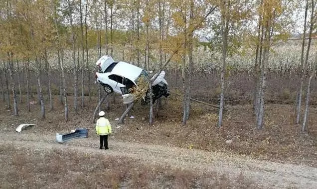 女司机神操作：油门飞树脱困，男友成“树中情人”
