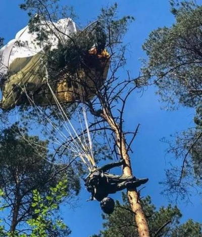 女司机神操作：油门飞树脱困，男友成“树中情人”