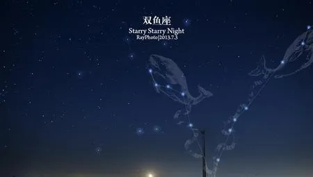 剑星双鱼游鱼拍照全攻略：解锁隐藏拍照点