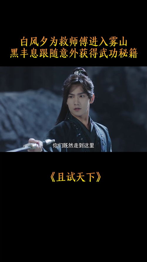 《师父》新篇来袭：揭秘非续作背后的秘密！