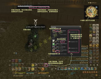 《帕鲁无生者山路攻略：高效收集指南》