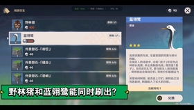 清琼岛阿嘟藏身之谜：周游壶灵位置全揭秘