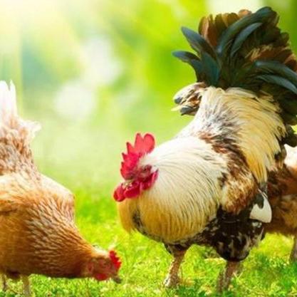 未来已来！00后百岁起航，寿命无上限时代降临