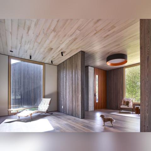 《线条小狗狂欢季！夏日动物温泉派对，泳池躺椅等你来凉》