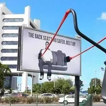 《荷兰创新：首款45天降解“活棺材”震撼上市》