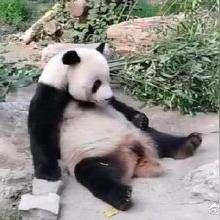 《最终幻想14》升级黑名单系统，严打违规玩家