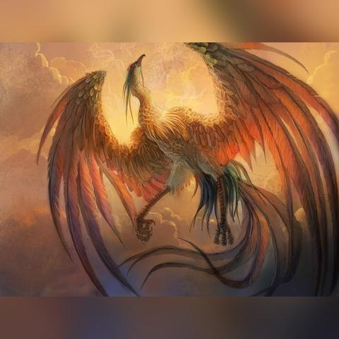 《动物井全收集攻略：揭秘12件主动道具获取秘籍》