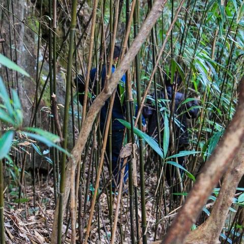 《羊蹄山之魂》全面升级：探索新境界，解锁未知秘境