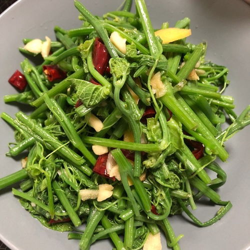 鸣潮夏空角色评测：强度解析，不容错过的实力盘点