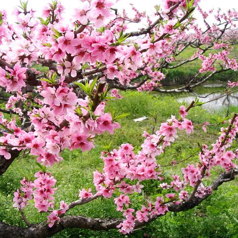 晴空之下装备套装攻略：最佳搭配推荐