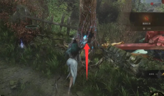 《明末渊虚之羽化祭司秒杀攻略:高效打法揭秘》 《明末渊虚之羽化祭司秒杀攻略:高效打法揭秘》