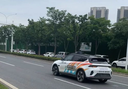 比亚迪网约车停车场绕行奇观：揭秘跟车真相！