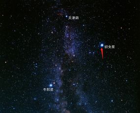 《星空》大揭秘：独家内容震撼来袭！