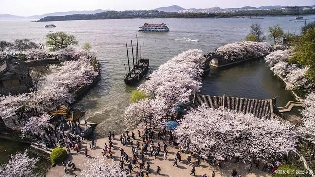 少侠专属！岛主邀你8月2日苏州桃花岛，揭秘神秘岛宴！