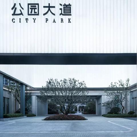 《岛哥哥新挑战：揭秘抽象游戏背后的秘密》