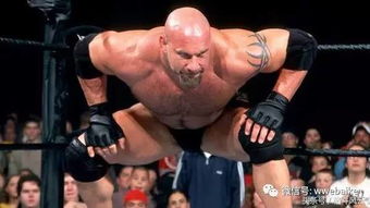 摔角传奇胡克·霍根：WWE名人堂巨星心脏骤停离世