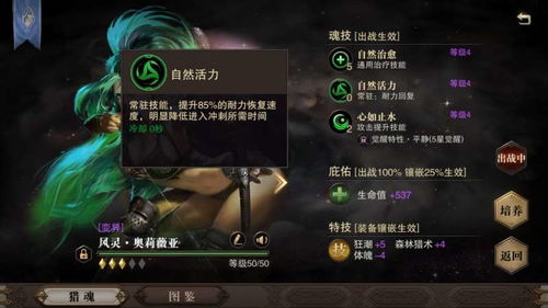 燕云十六声双刀输出攻略：破竹风摇一存一技巧解析