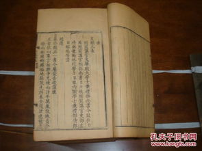 《明末渊虚之羽：家庭共享版价格揭秘，共享优惠大揭秘！》