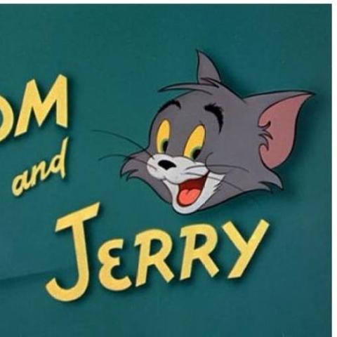 《猫鼠大战提前开战！《猫和老鼠》8月2日上映》