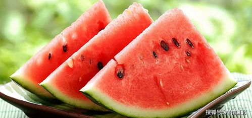 中国西瓜狂热：每人年吃百斤，韩国网友直呼羡慕！