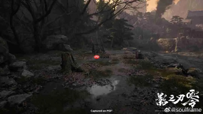 《影之刃零》新实机演示曝光！微软巨作或登陆PS5！