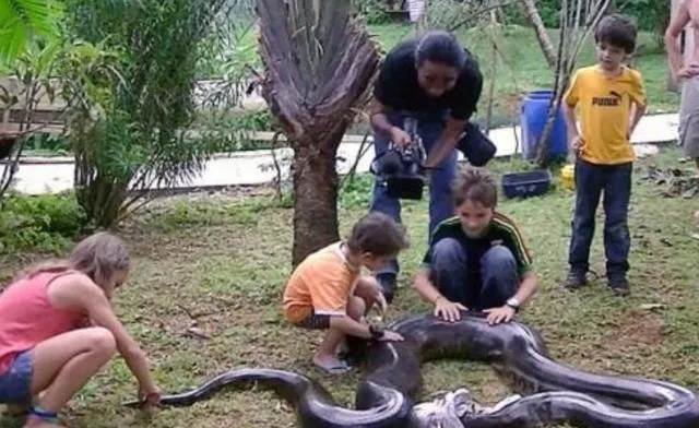 巴西网红街头巨蛇秀引争议：行为艺术还是炒作？