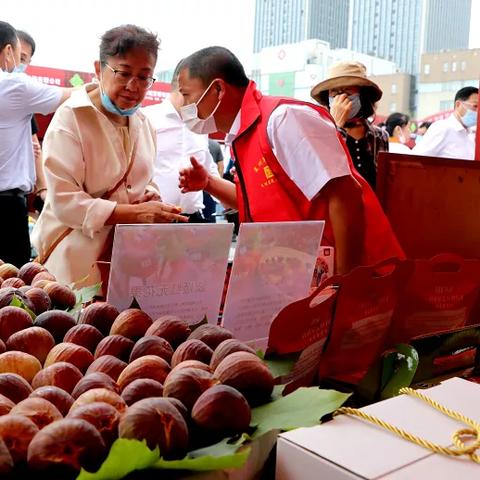 《四海兄弟》开发商新作预告：探寻新篇章！