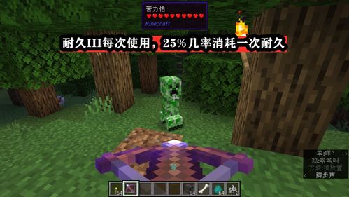《Minecraft附魔大全：附魔物品获取攻略汇总》