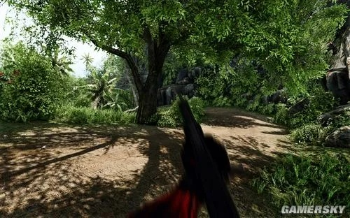 《孤岛惊魂》VS《孤岛危机》：实景拍摄背后的视觉差距揭秘