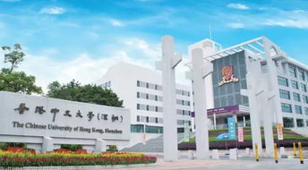 香港中文大学（深圳）未录取通知书：人文关怀下的温暖回应