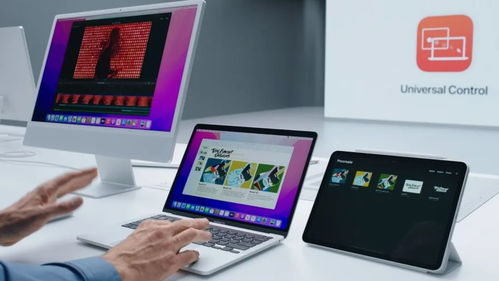 《NS2新发现！系统语言一变，封面大不同》