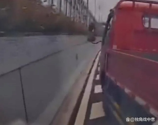 女车主遭货车逼停骂战：小米车主与货车司机视频曝光